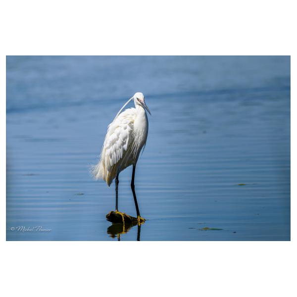 PHOTO84, CLUB, 84 , LUBERON